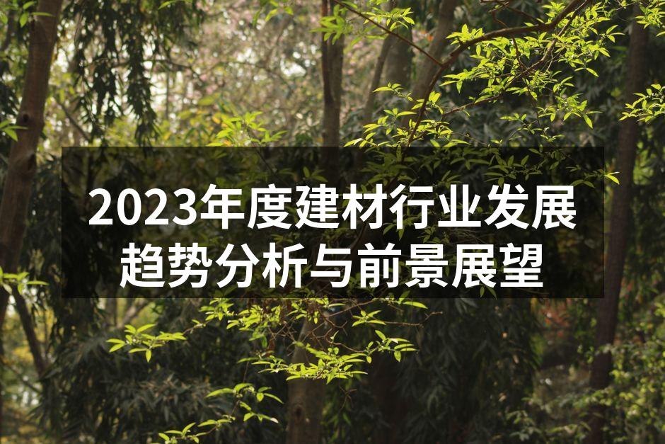 2023年度建材行业发展趋势分析与前景展望